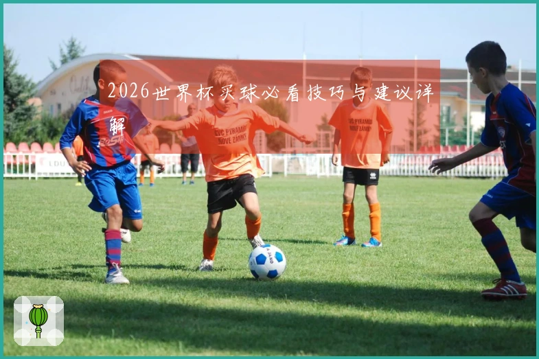 2026世界杯买球必看技巧与建议详解