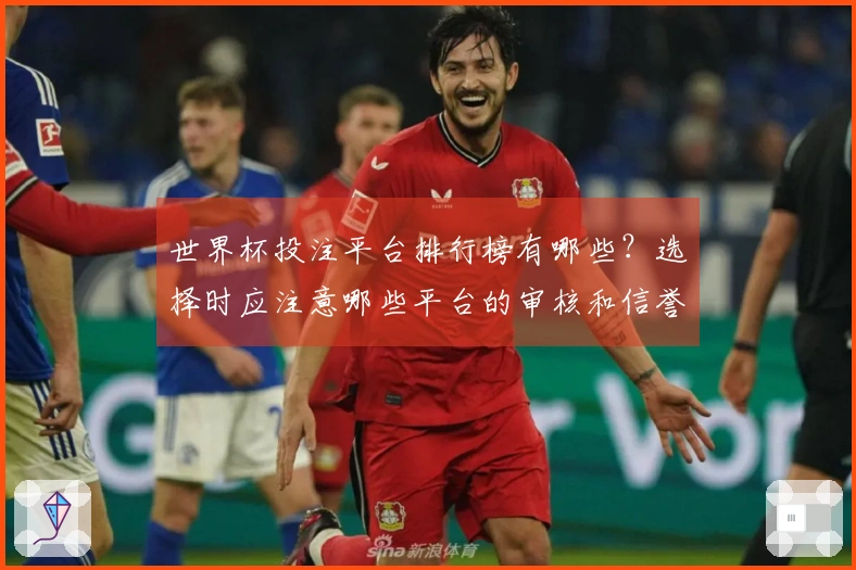 世界杯投注平台排行榜有哪些?选择时应注意哪些平台的审核和信誉