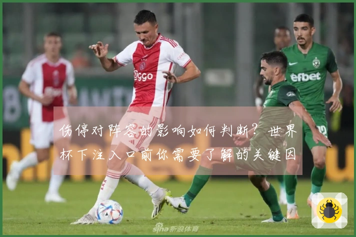 伤停对阵容的影响如何判断？世界杯下注入口前你需要了解的关键因素