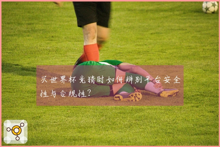 买世界杯竞猜时如何辨别平台安全性与合规性？