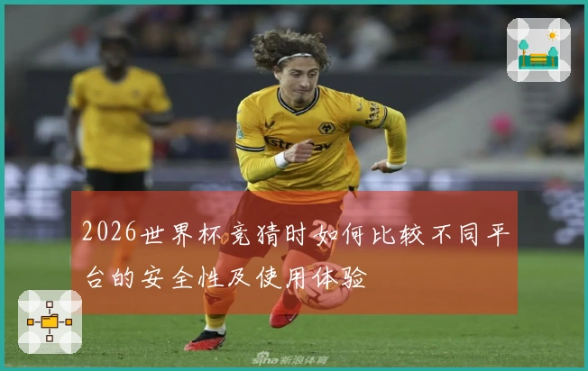 2026世界杯竞猜时如何比较不同平台的安全性及使用体验