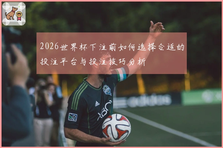 2026世界杯下注前如何选择合适的投注平台与投注技巧分析