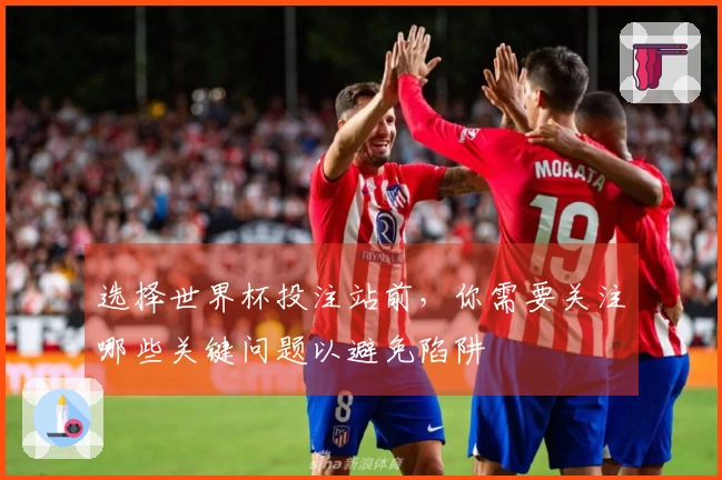 选择世界杯投注站前，你需要关注哪些关键问题以避免陷阱