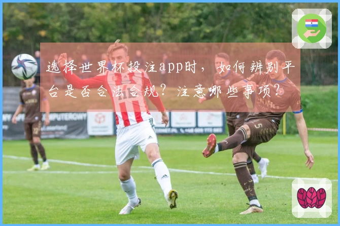 选择世界杯投注app时，如何辨别平台是否合法合规？注意哪些事项？