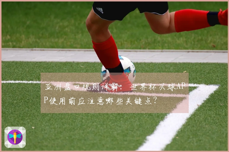 亚洲盘口规则详解:世界杯买球APP使用前应注意哪些关键点?