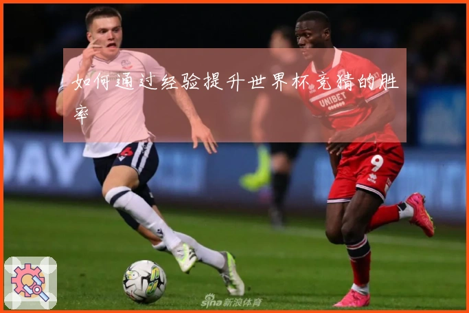 如何通过经验提升世界杯竞猜的胜率