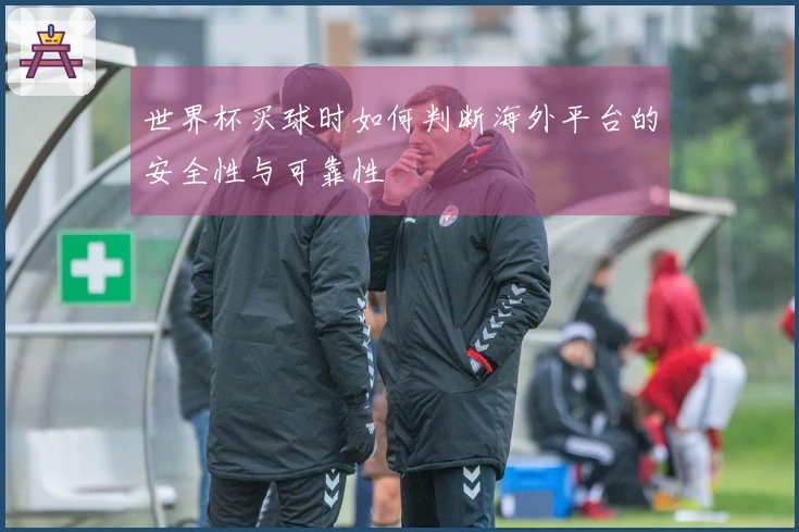 世界杯买球时如何判断海外平台的安全性与可靠性