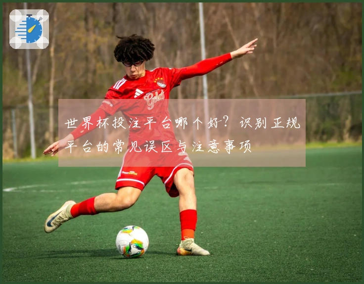 世界杯投注平台哪个好？识别正规平台的常见误区与注意事项
