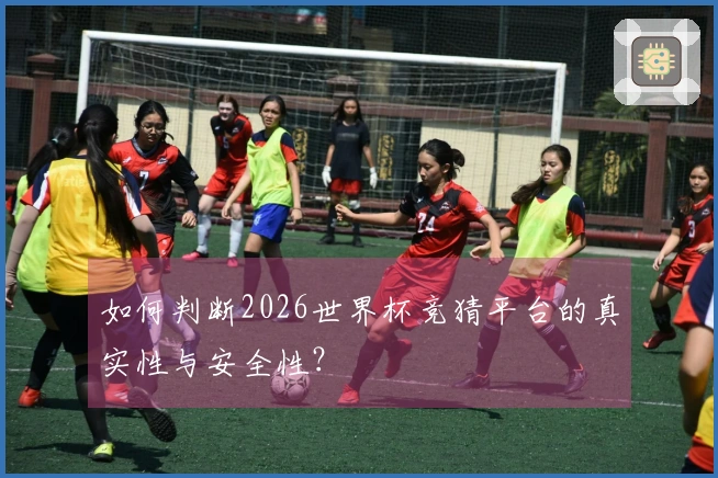 如何判断2026世界杯竞猜平台的真实性与安全性？