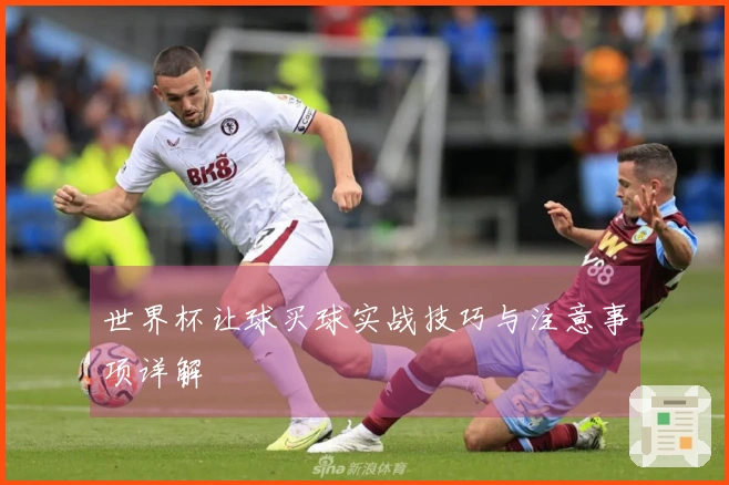 世界杯让球买球实战技巧与注意事项详解