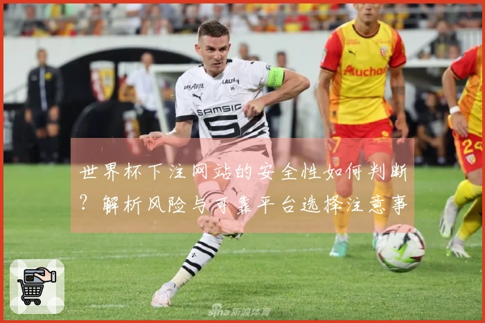 世界杯下注网站的安全性如何判断？解析风险与可靠平台选择注意事项