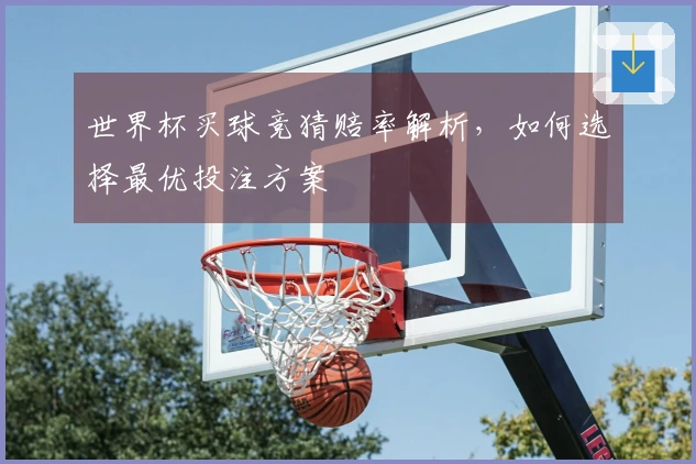 世界杯买球竞猜赔率解析，如何选择最优投注方案