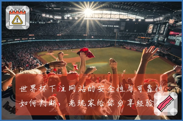 世界杯下注网站的安全性与可靠性如何判断，老玩家给你分享经验教训