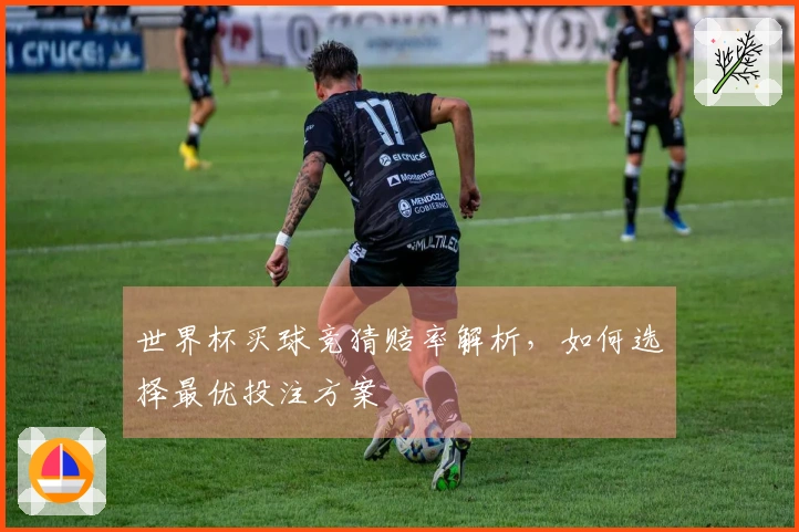 世界杯买球竞猜赔率解析，如何选择最优投注方案