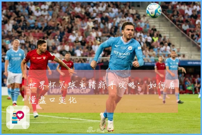 世界杯买球竞猜新手攻略：如何看懂盘口变化