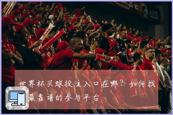 世界杯买球投注入口在哪？如何找到最靠谱的参与平台