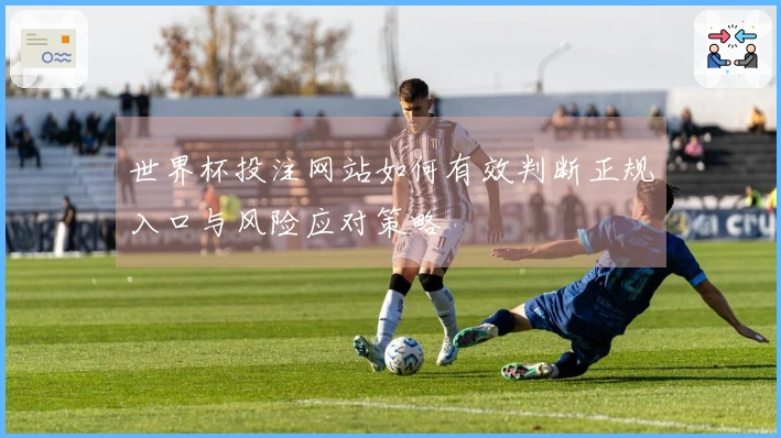 世界杯投注网站如何有效判断正规入口与风险应对策略