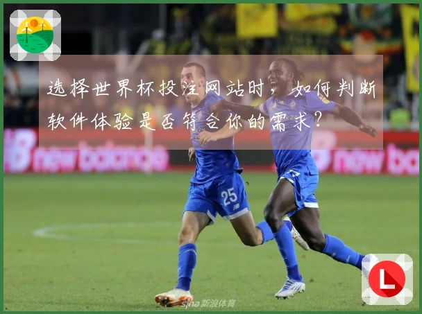 选择世界杯投注网站时，如何判断软件体验是否符合你的需求？
