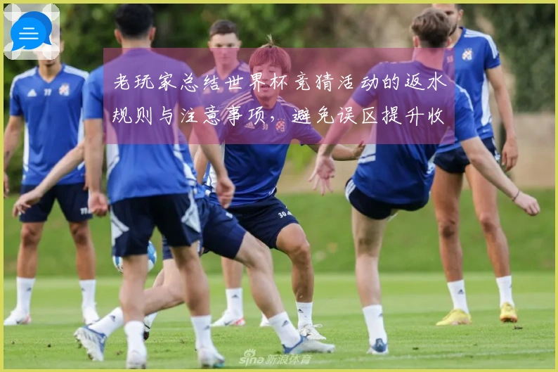 老玩家总结世界杯竞猜活动的返水规则与注意事项，避免误区提升收益