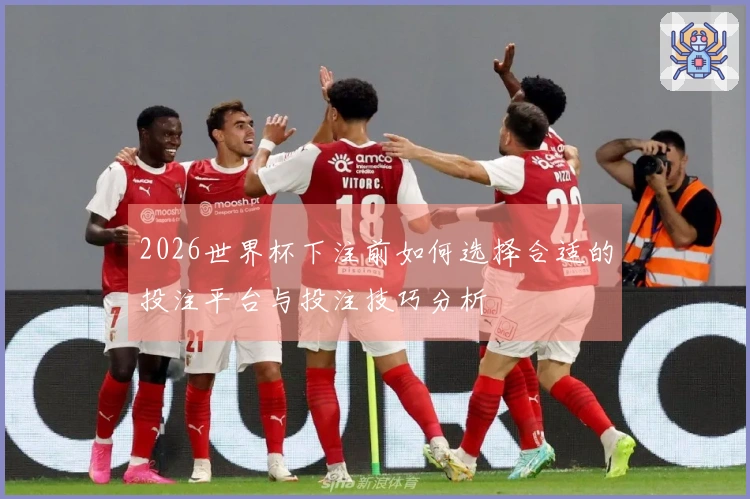 2026世界杯下注前如何选择合适的投注平台与投注技巧分析