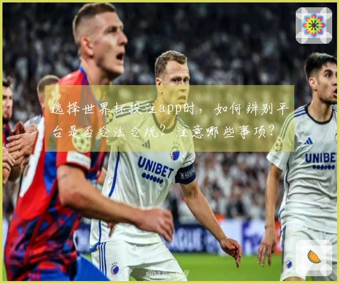 选择世界杯投注app时，如何辨别平台是否合法合规？注意哪些事项？