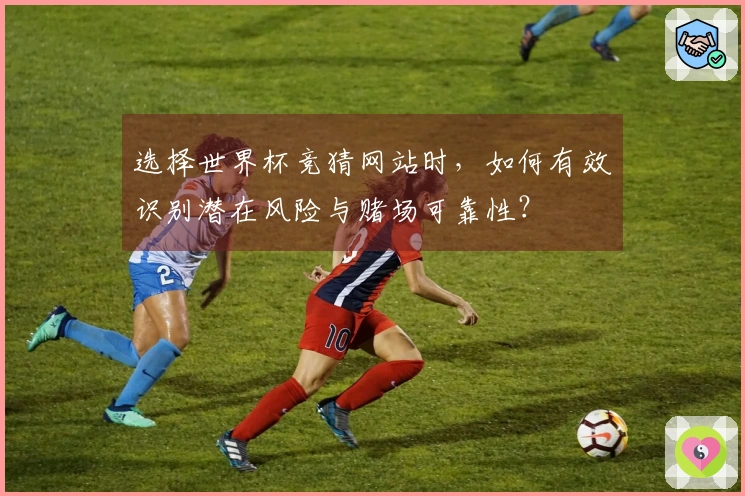 选择世界杯竞猜网站时，如何有效识别潜在风险与赌场可靠性？