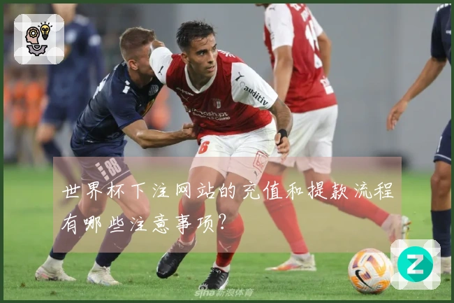 世界杯下注网站的充值和提款流程有哪些注意事项？