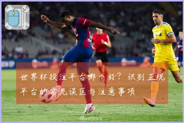 世界杯投注平台哪个好？识别正规平台的常见误区与注意事项
