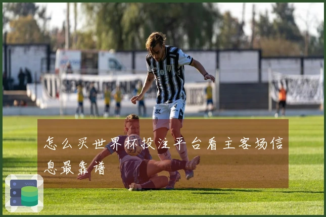 怎么买世界杯投注平台看主客场信息最靠谱