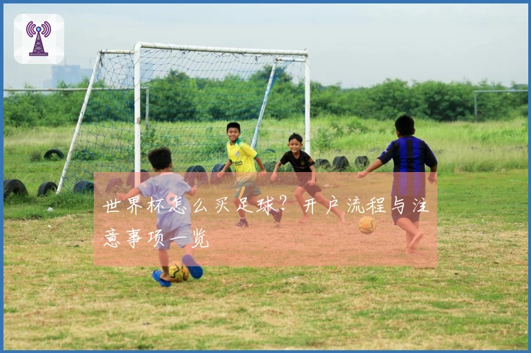 世界杯怎么买足球?开户流程与注意事项一览