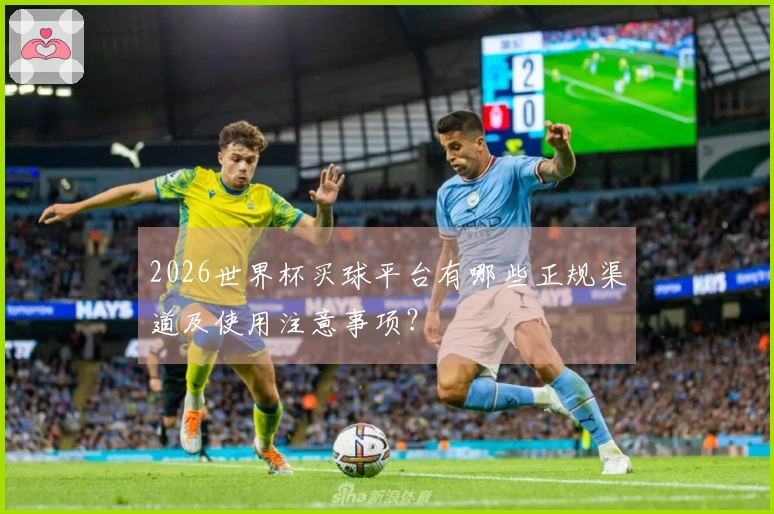 2026世界杯买球平台有哪些正规渠道及使用注意事项？