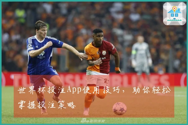 世界杯投注App使用技巧，助你轻松掌握投注策略