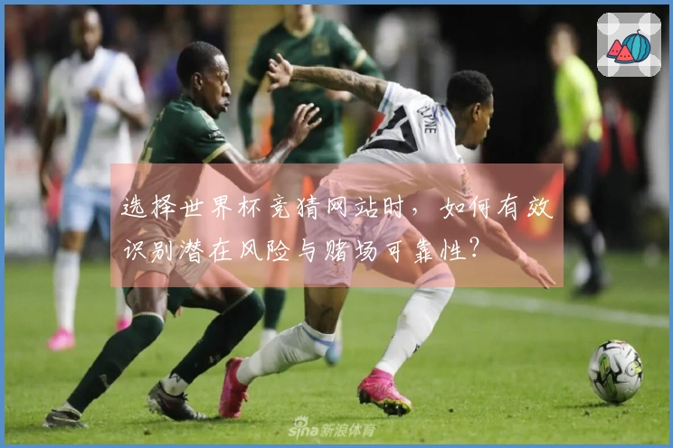 选择世界杯竞猜网站时，如何有效识别潜在风险与赌场可靠性？