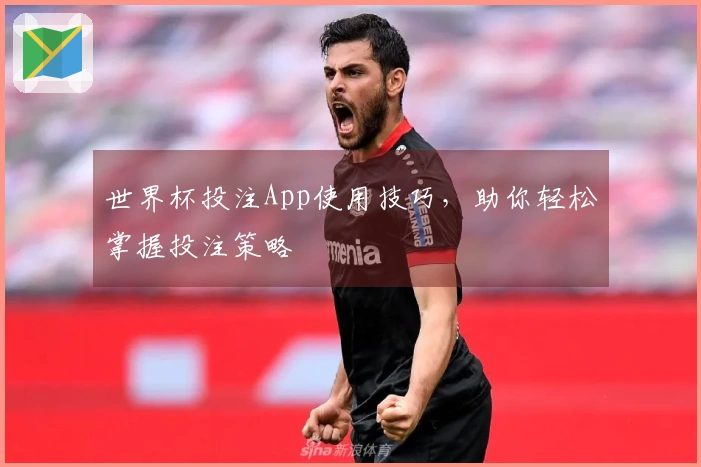 世界杯投注App使用技巧，助你轻松掌握投注策略
