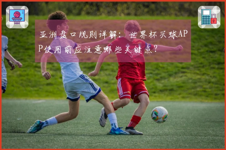 亚洲盘口规则详解：世界杯买球APP使用前应注意哪些关键点？