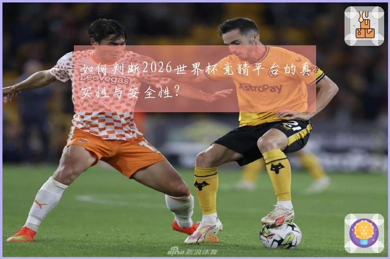 如何判断2026世界杯竞猜平台的真实性与安全性？