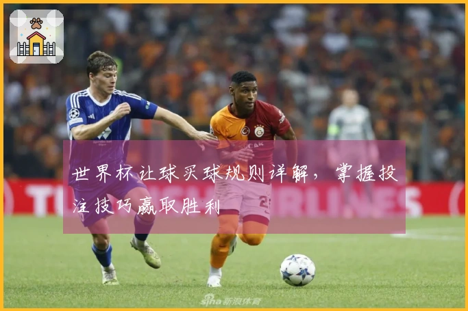 世界杯让球买球规则详解，掌握投注技巧赢取胜利