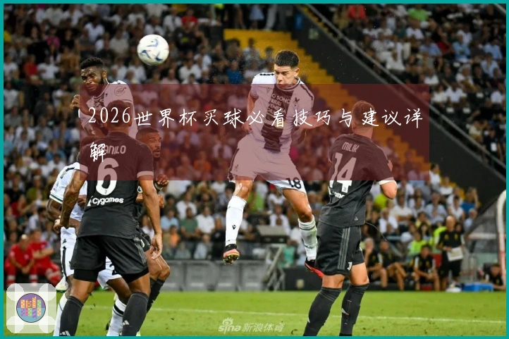2026世界杯买球必看技巧与建议详解