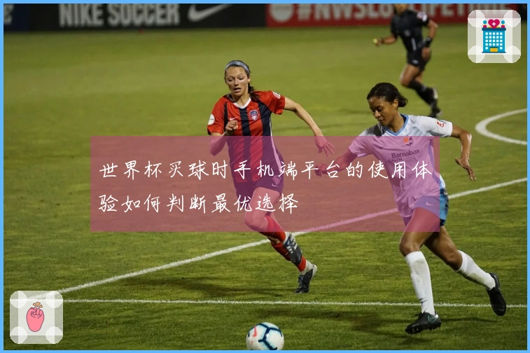 世界杯买球时手机端平台的使用体验如何判断最优选择