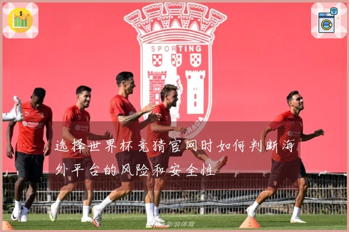 选择世界杯竞猜官网时如何判断海外平台的风险和安全性