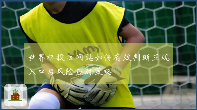世界杯投注网站如何有效判断正规入口与风险应对策略