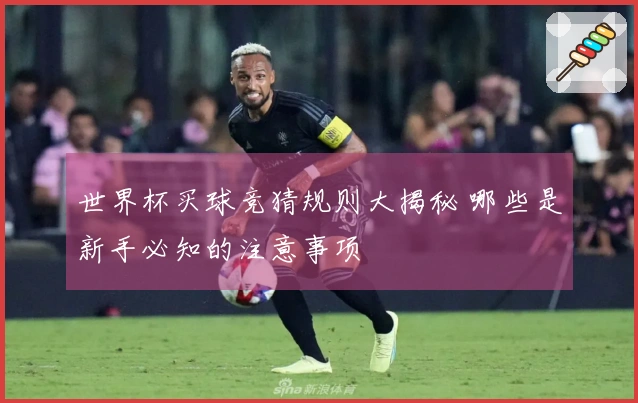 世界杯买球竞猜规则大揭秘 哪些是新手必知的注意事项
